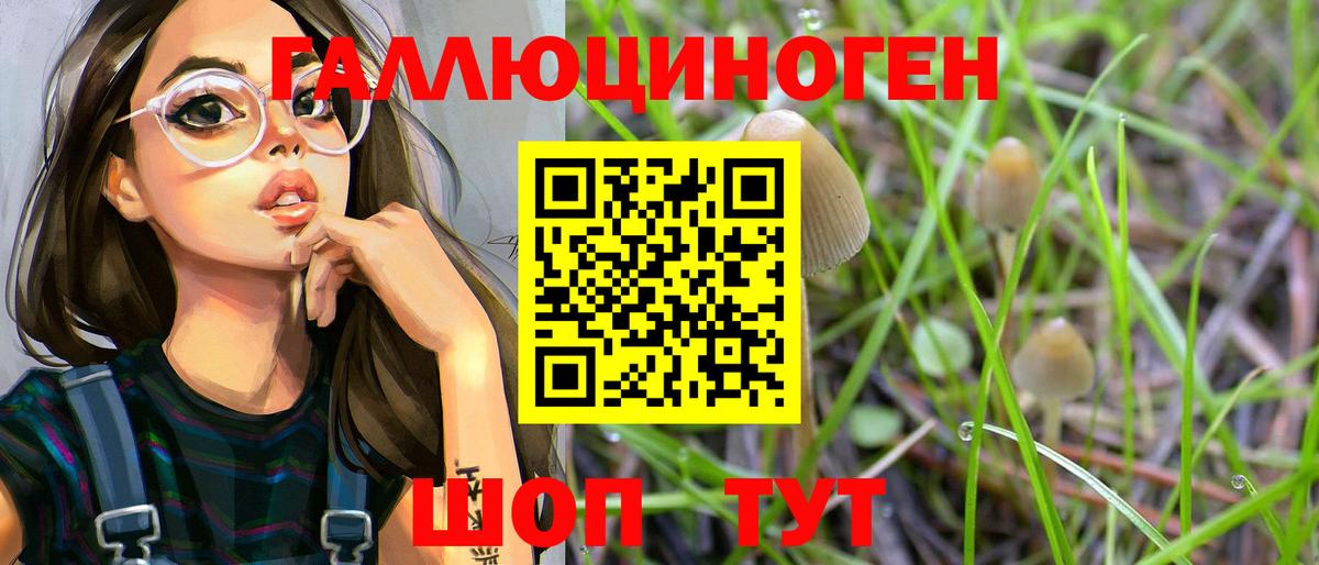 продажа наркотиков  Вход с VPN  Будённовск  Галлюциногенные грибы Psilocybe 