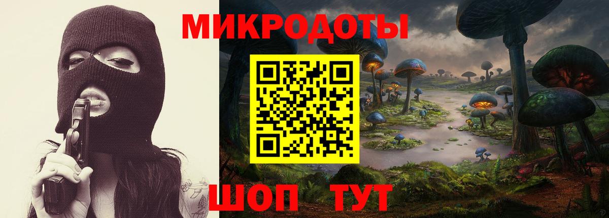 Галлюциногенные грибы мухоморы Будённовск