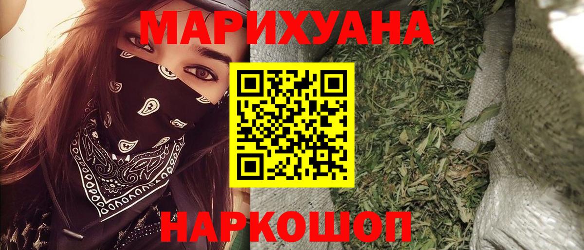 Конопля план Будённовск
